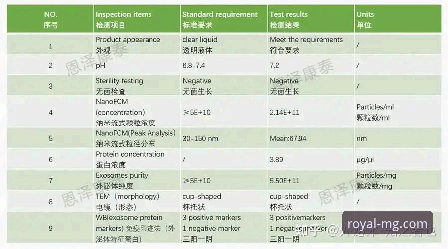 MG游戏问题解答完整指南：从新手注册到高阶玩法全解析